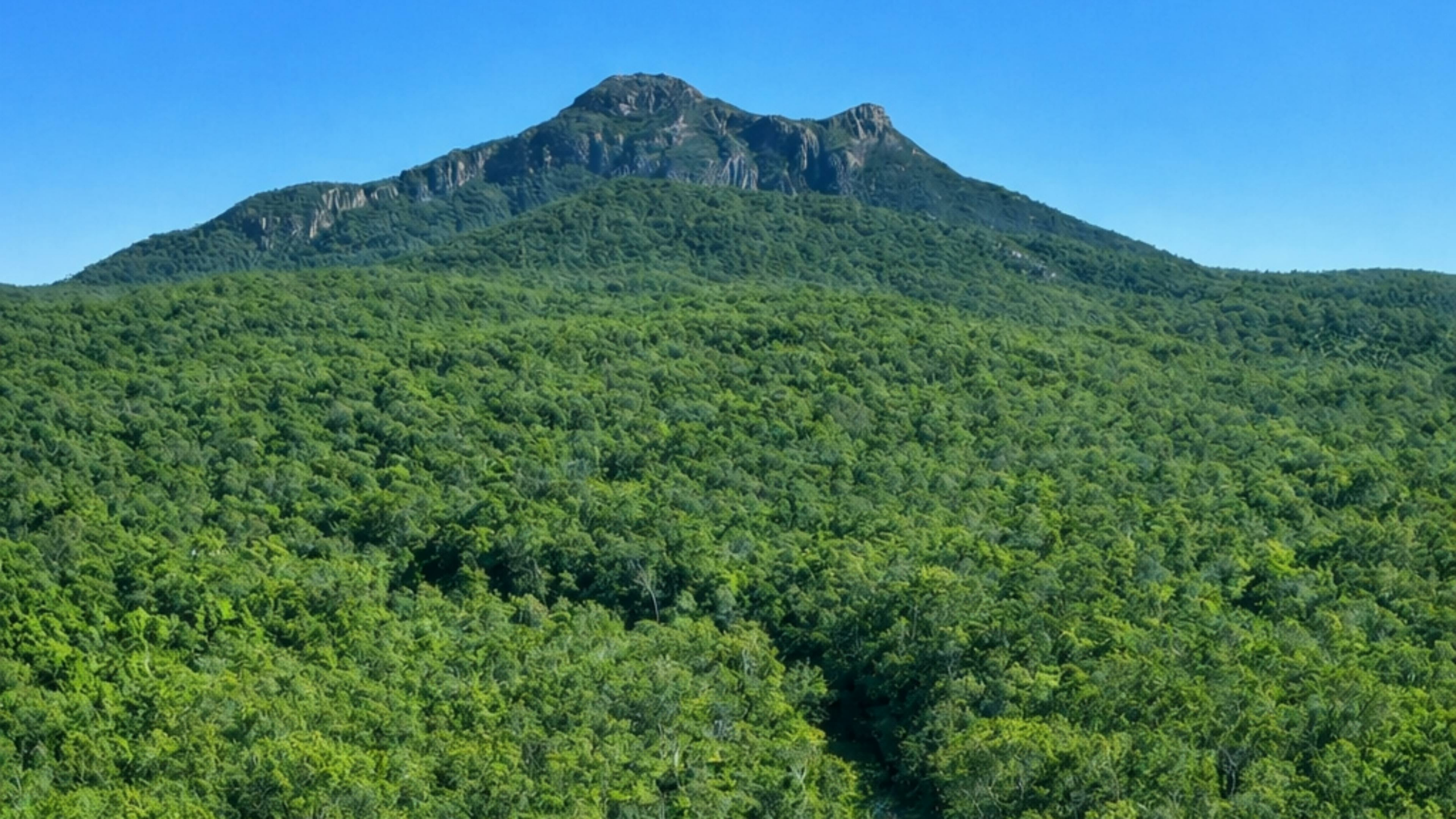 Barney View Bush Camping