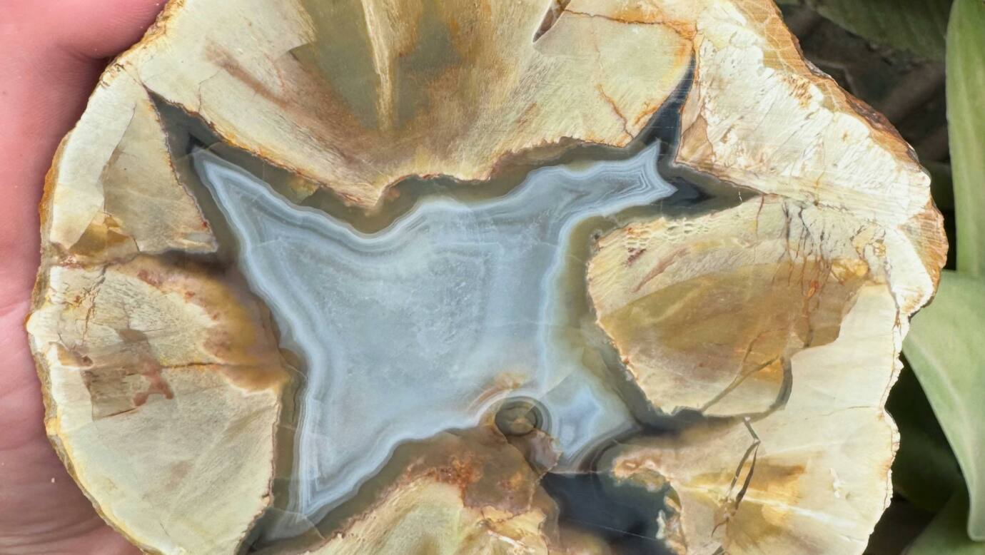 Thunderegg Filled with white Agate
