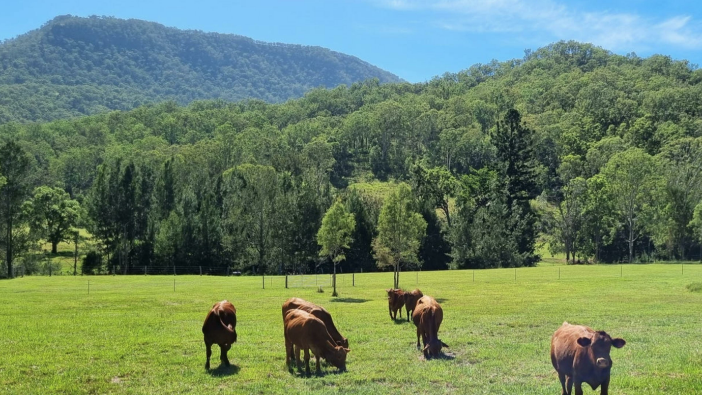 Christmas Creek Bush Retreat
