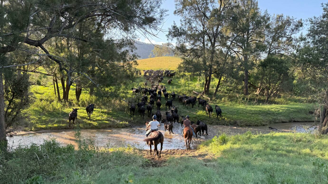 Juburra Country Camping