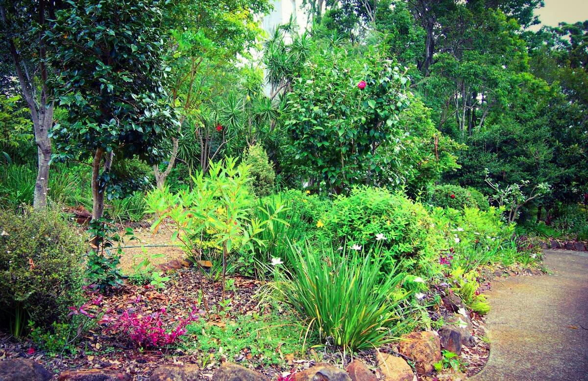 Springtime on the Mountain Garden Trail