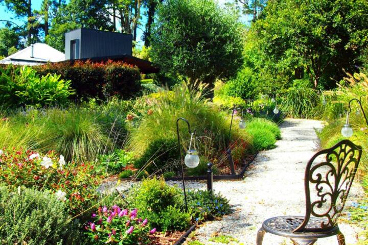 Springtime on the Mountain Garden Trail