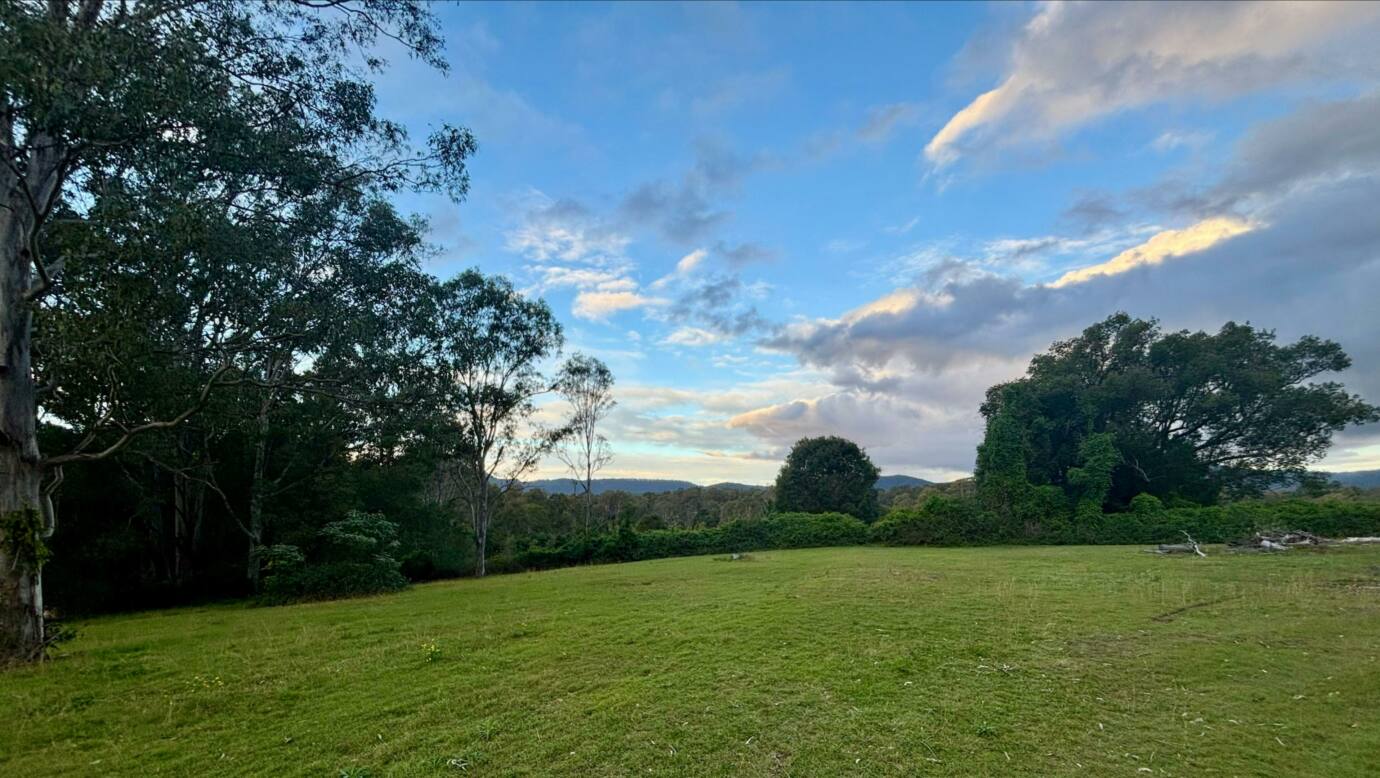 The Paddock in Tamborine