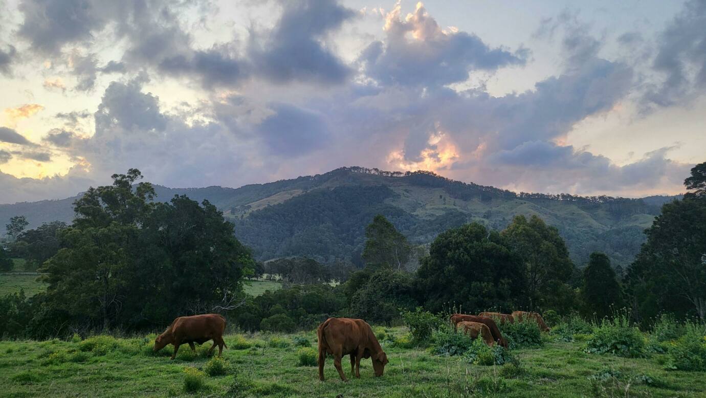 Tyungun Country Retreat